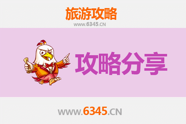 鹤岗向阳旅游攻略：跟团与自由行深度对比